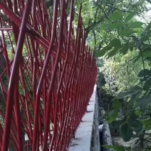 حفاظ بوته ای تراکم ۵۳