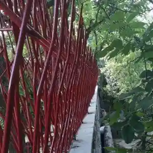 حفاظ بوته ای تراکم ۵۳