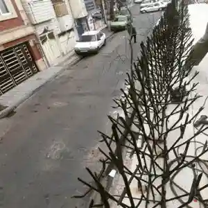 حفاظ بوته ای تراکم ۶۷