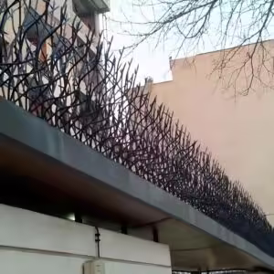 حفاظ بوته ای تراکم ۸۸