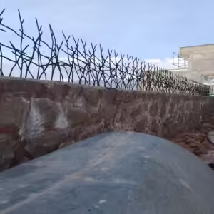 حفاظ شاخ گوزنی تراکم ۳۴