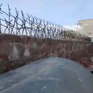 حفاظ شاخ گوزنی تراکم ۳۴