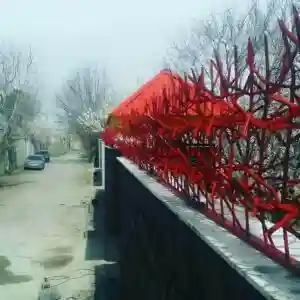 هزینه تولید و نصب شاخ گوزنی | نرده حفاظ دیوار 60 تا 120 ارتفاع