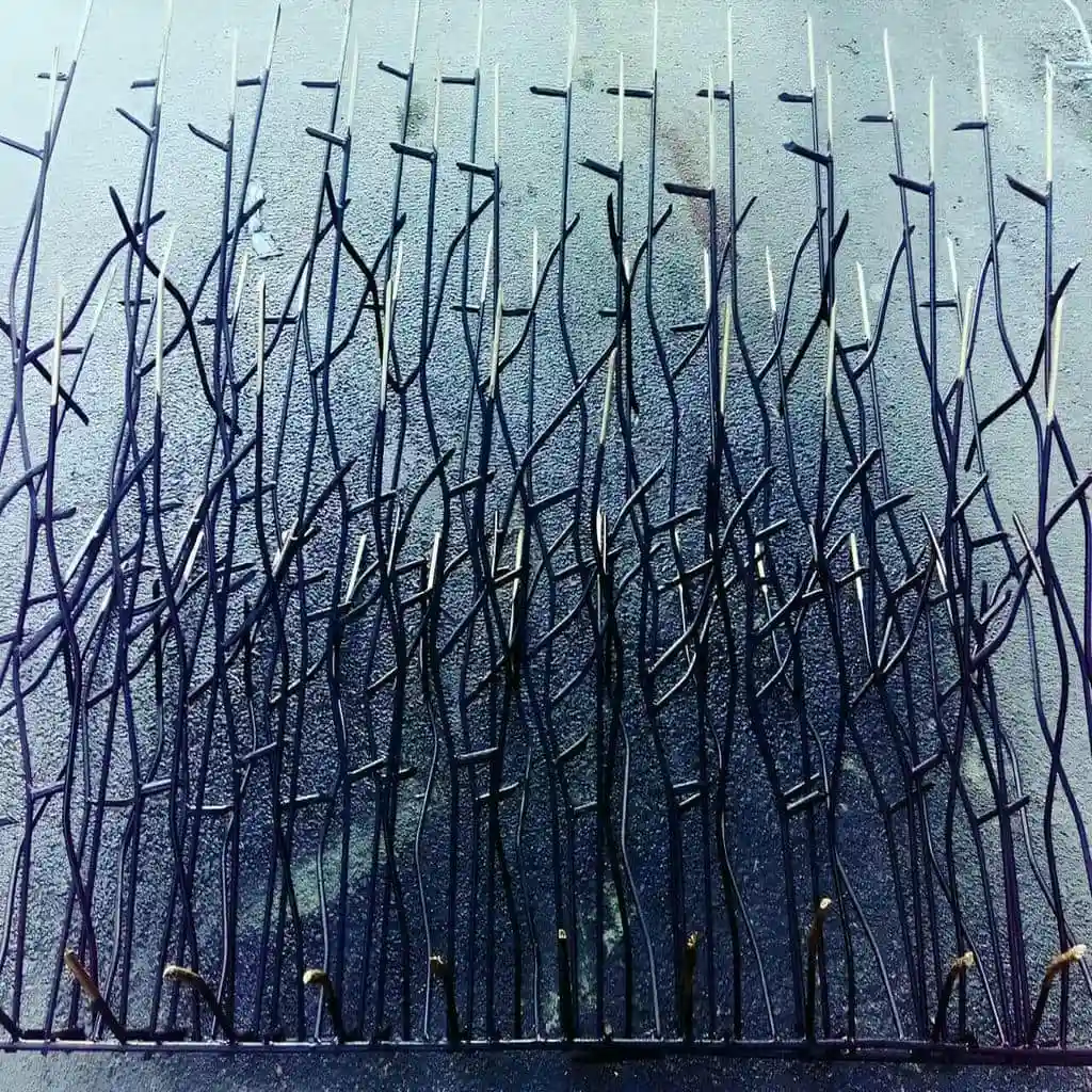 خرید اینترنتی حفاظ شاخ گوزنی اصل با قیمت به&zwnj;روز