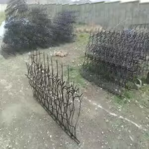 کاربردهای حفاظ شاخ گوزنی