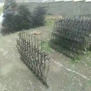 کاربردهای حفاظ شاخ گوزنی