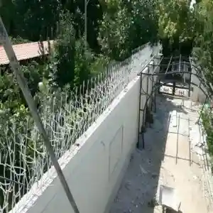 حفاظ شاخ گوزنی چیست و چرا بهترین انتخاب برای حفاظت دیوار است