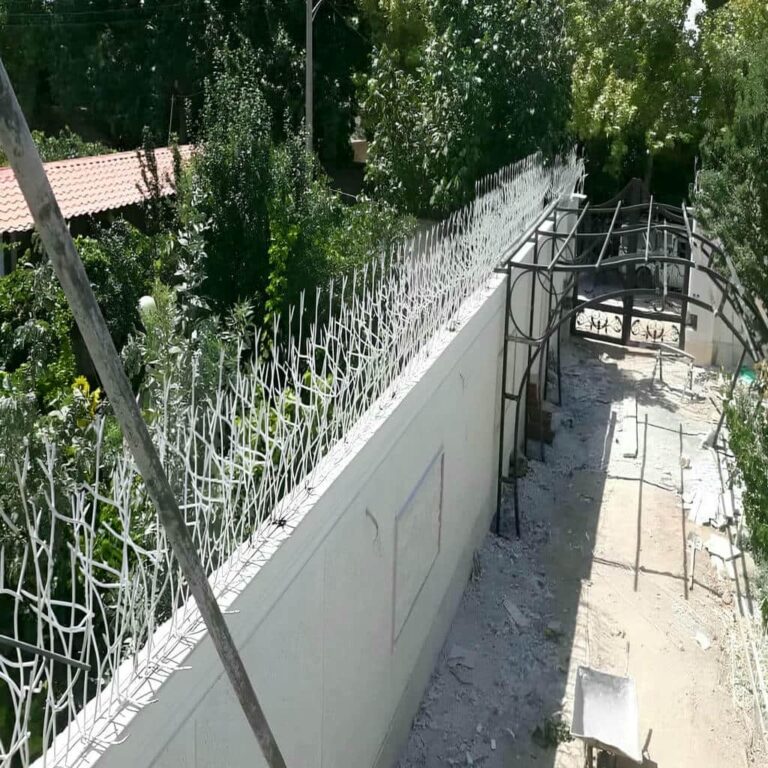 حفاظ شاخ گوزنی چیست و چرا بهترین انتخاب برای حفاظت دیوار است؟