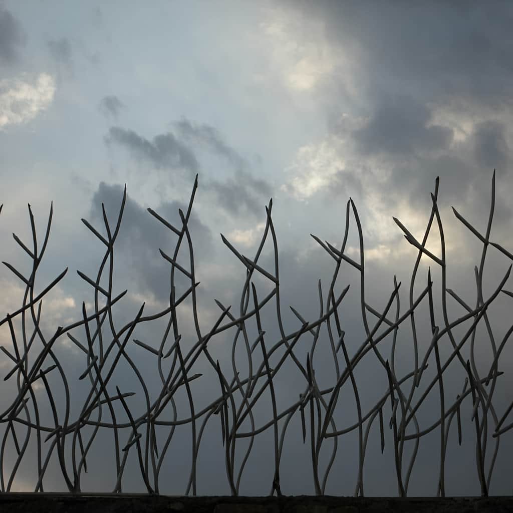 نمونه نصب حفاظ شاخ گوزنی اقتصادی روی دیوار