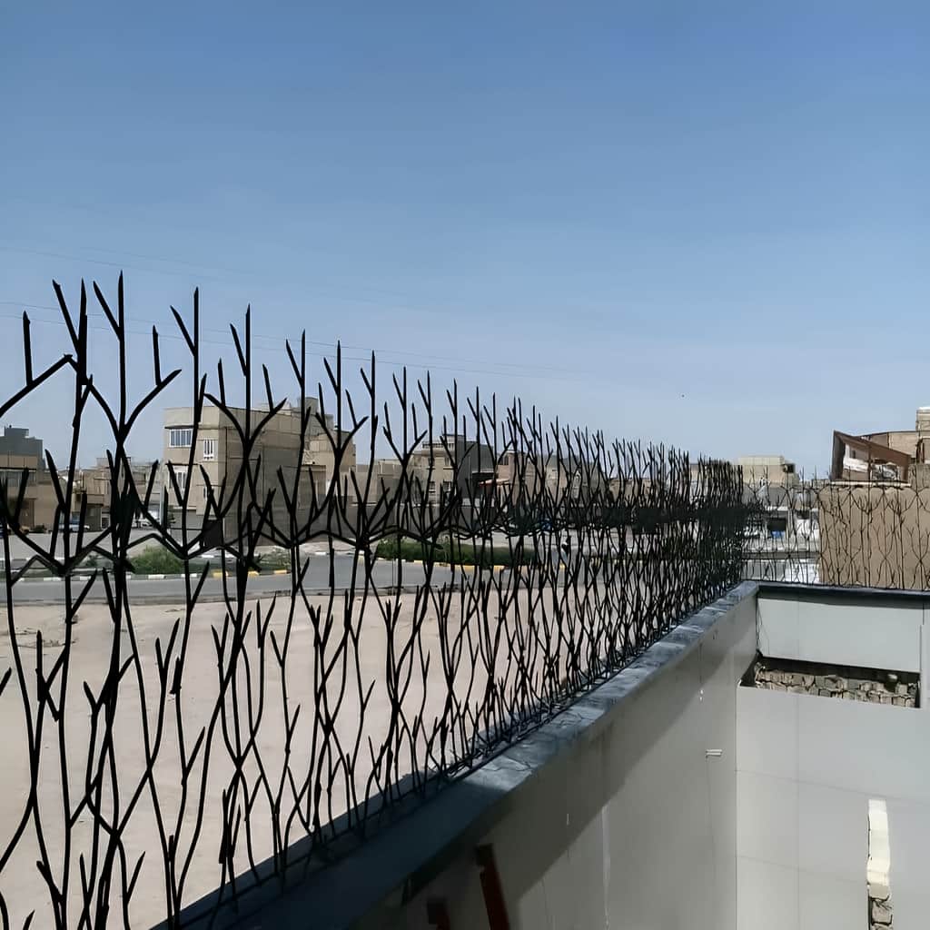 رنگ&zwnj;بندی حفاظ شاخ گوزنی تراکم ۳۱ سفید و طلایی