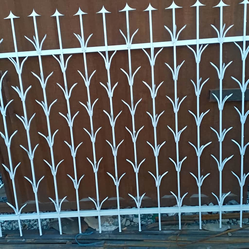 حفاظ شمشادی سفید طلایی با تراکم بالا