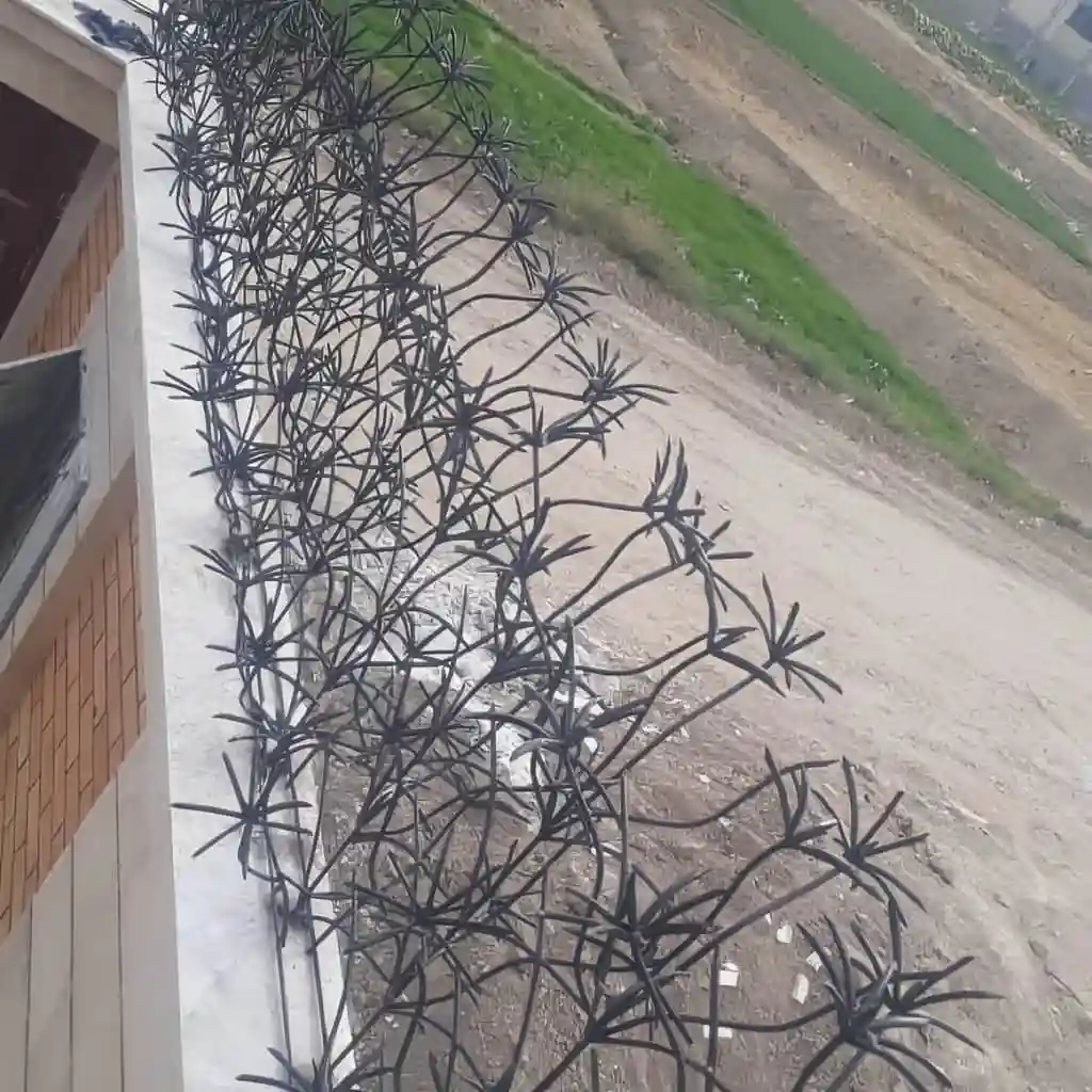 حفاظ نخل مرداب با پوشش رنگ قهوه&zwnj;ای سوخته مقاوم