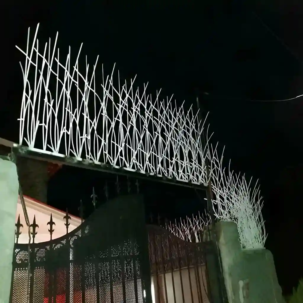 ثبت سفارش اینترنتی و تلفنی حفاظ نیزار در تهران