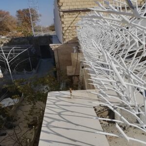 حفاظ شاخ گوزنی در فیروزکوه