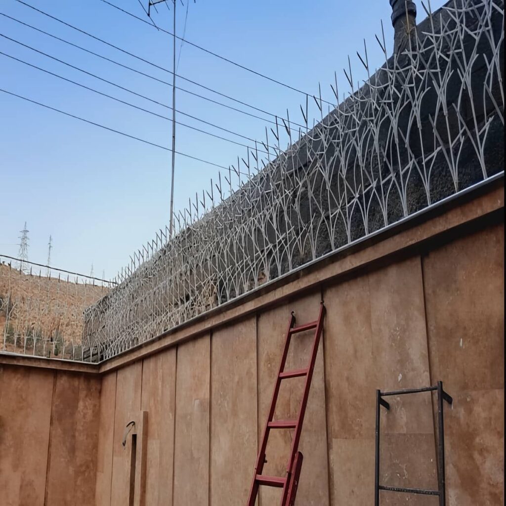 خرید حفاظ شاخ گوزنی پرتراکم ساحلی در کیش