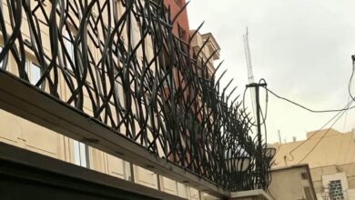 حفاظ شاخ گوزنی در نظرآباد
