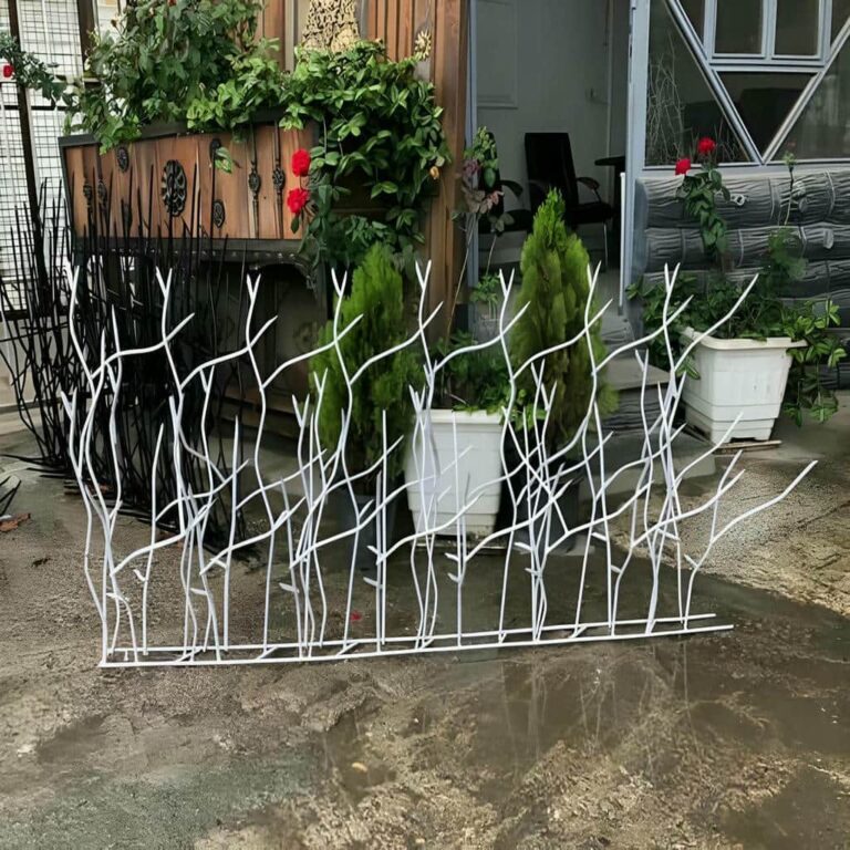 حفاظ شاخ گوزنی در کیش