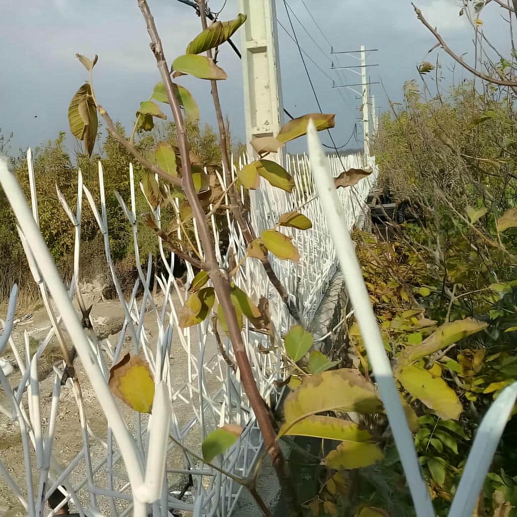 نصب حفاظ شاخ گوزنی کیفیت رنگ در بجنورد