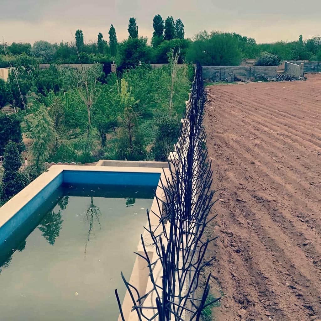 قیمت حفاظ شاخ گوزنی دیوار ویلایی در قشم