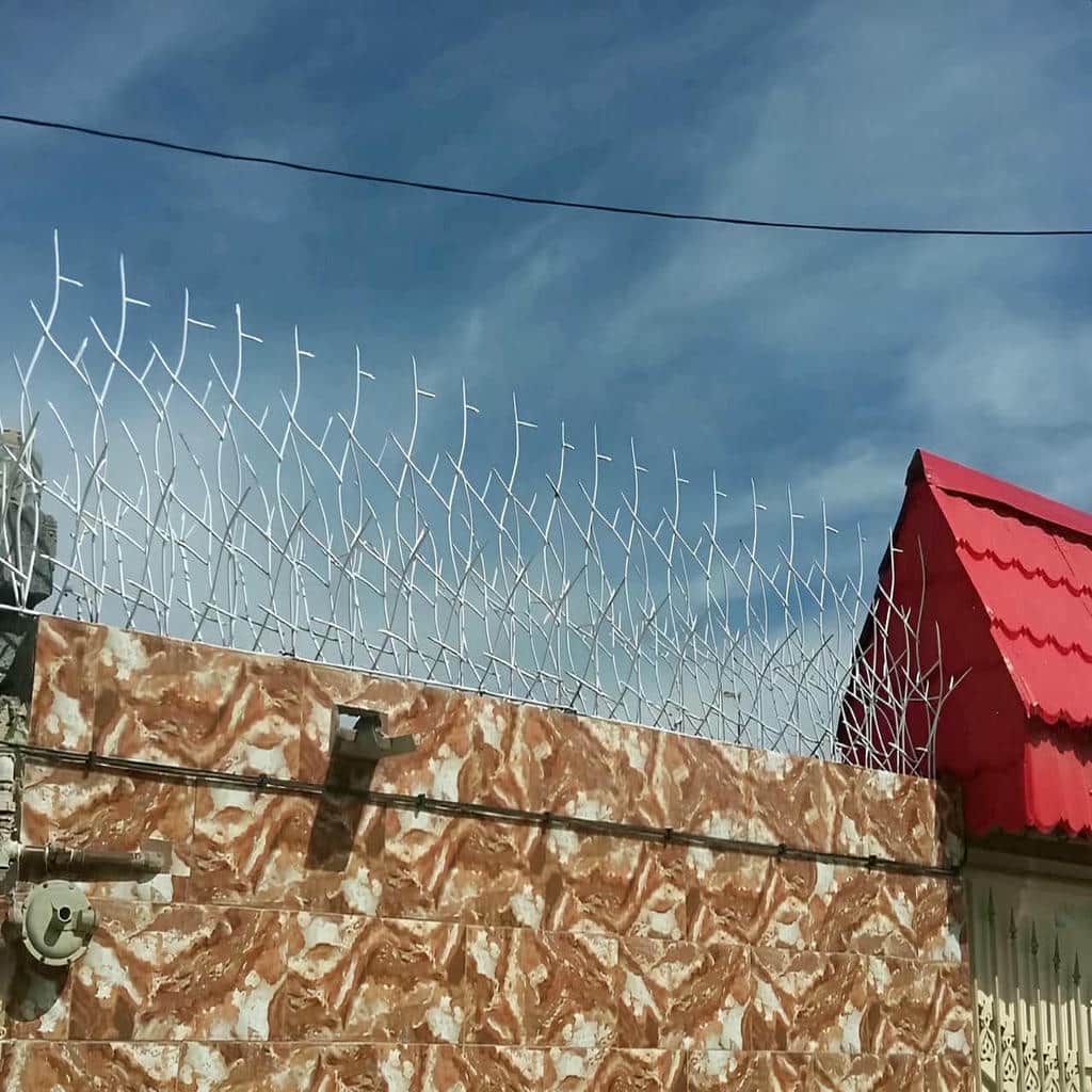 قیمت حفاظ شاخ گوزنی تراکم بالا در سقز