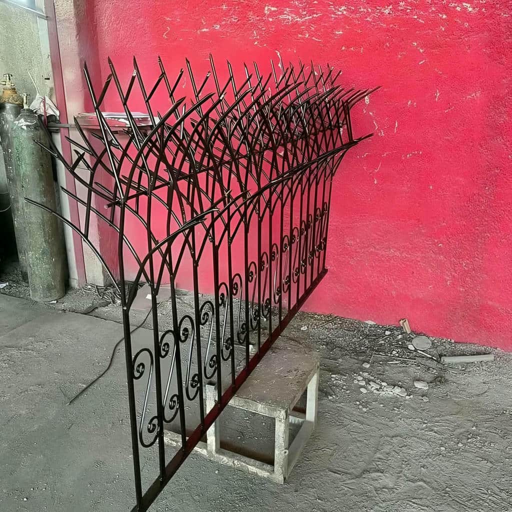 حفاظ شاخ گوزنی در بیرجند