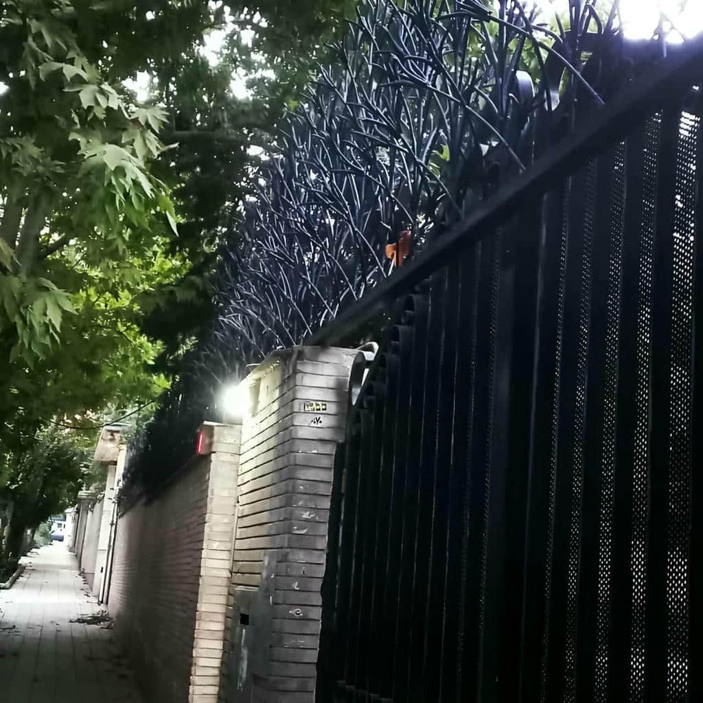 حفاظ شاخ گوزنی در کردان