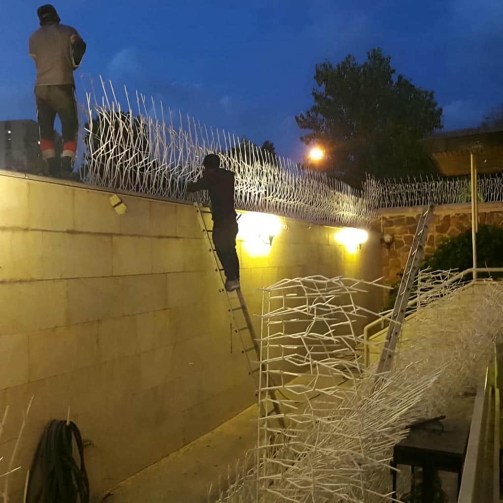 خرید حفاظ شاخ گوزنی نمای مدرن در آمل