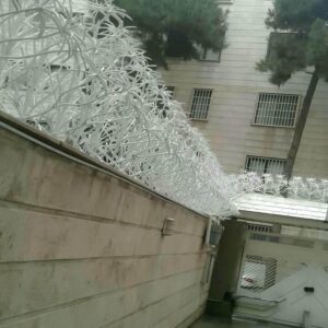 حفاظ شاخ گوزنی در آبادان