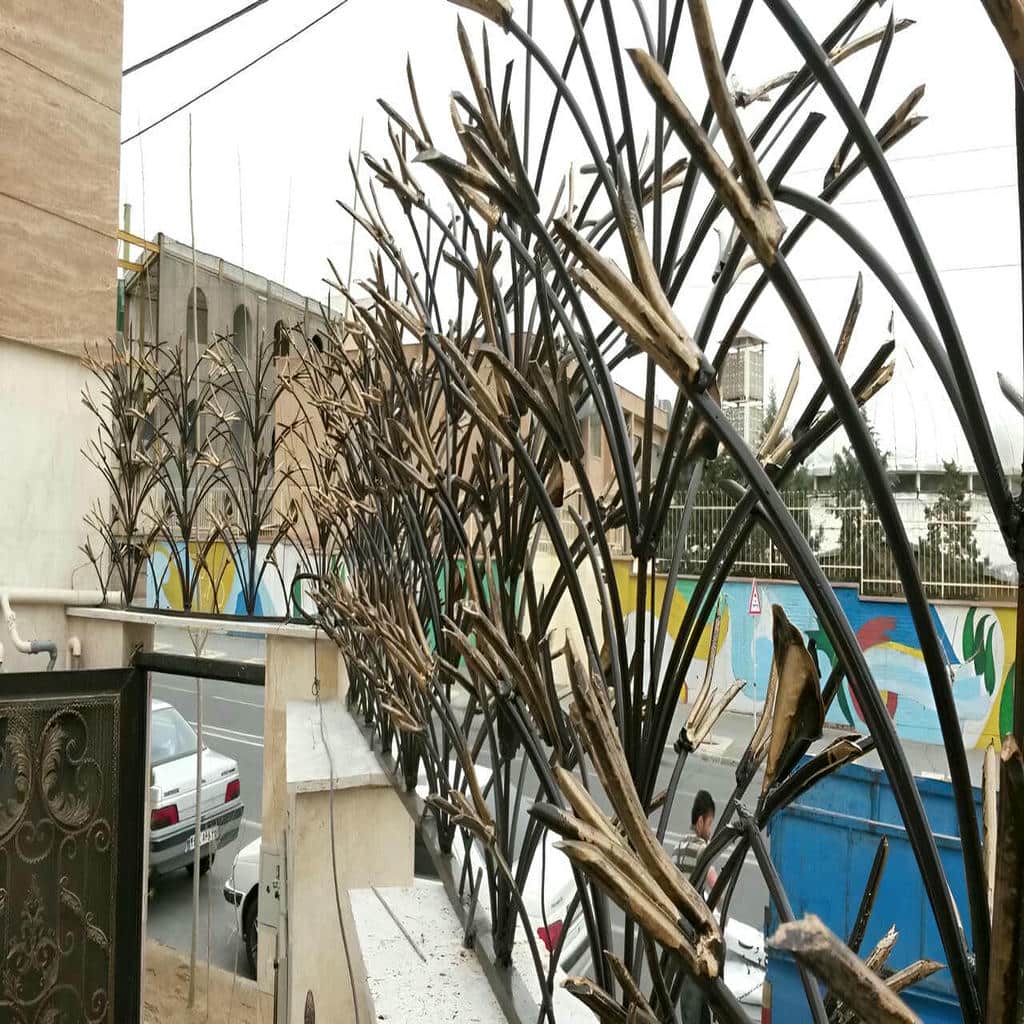 حفاظ شاخ گوزنی در بجنورد