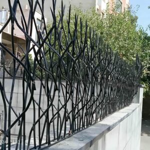 حفاظ شاخ گوزنی در شیراز