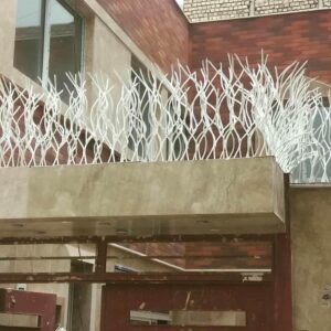 حفاظ شاخ گوزنی در بندرعباس