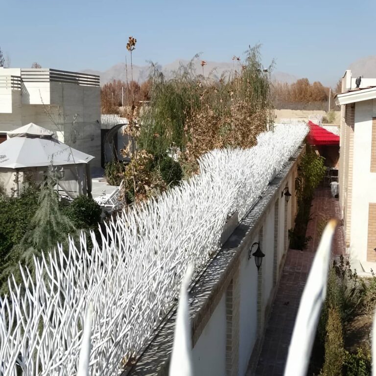حفاظ شاخ گوزنی در استان مازندران حفاظ شاخ گوزنی در استان مازندران