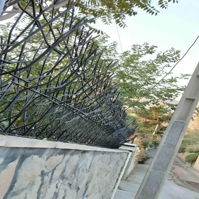 حفاظ شاخ گوزنی در اراک حفاظ شاخ گوزنی در اراک