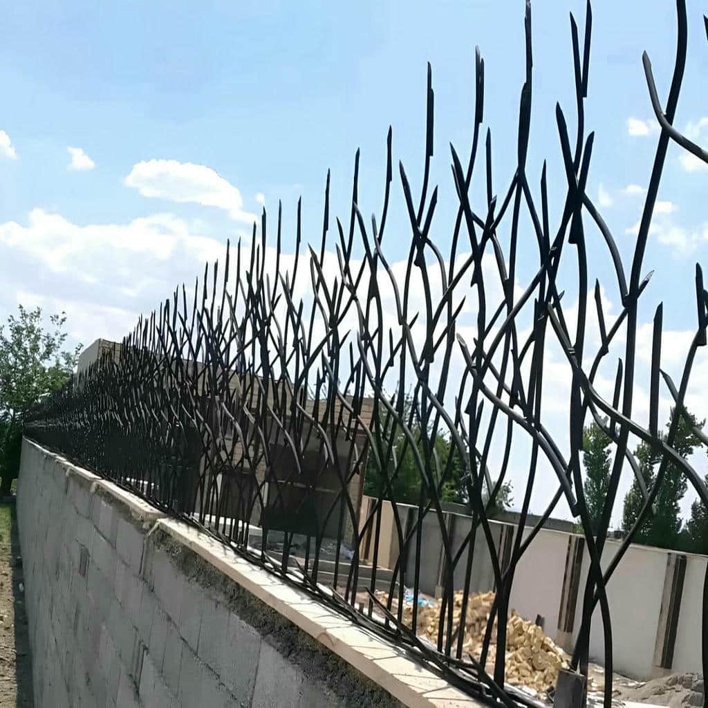 حفاظ شاخ گوزنی در ارومیه