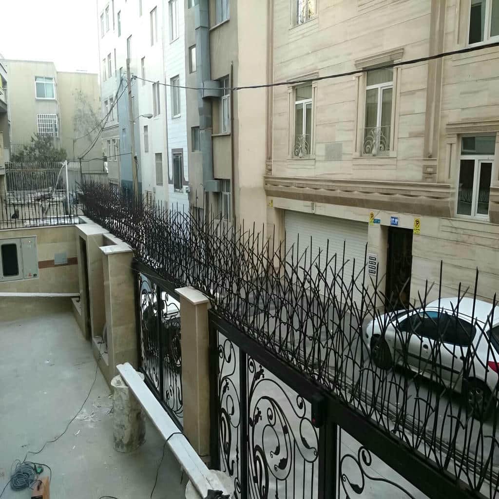حفاظ شاخ گوزنی در محمدشهر