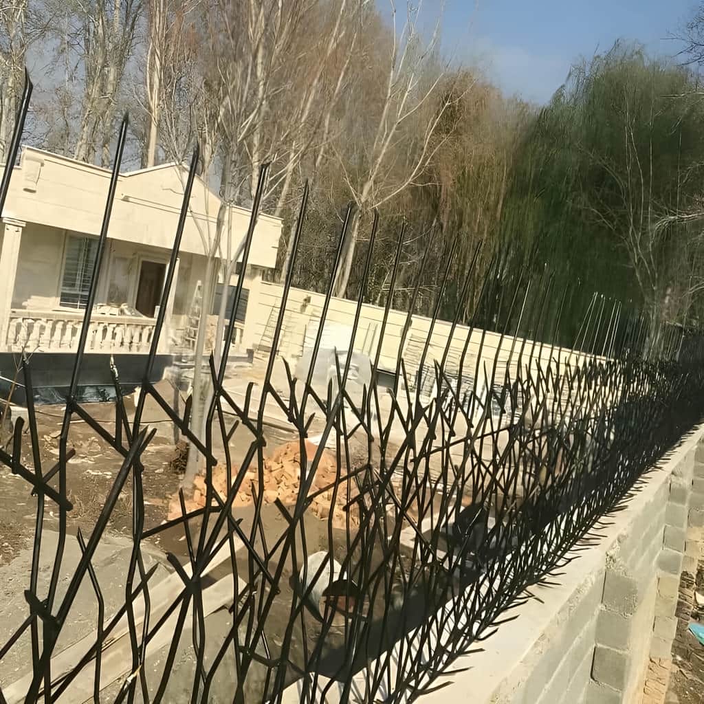 حفاظ شاخ گوزنی خار دار با نصب دقیق روی دیوار