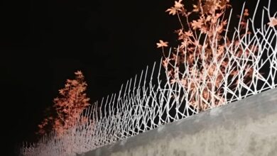 حفاظ شاخ گوزنی خار دار برای دیوار ساختمان