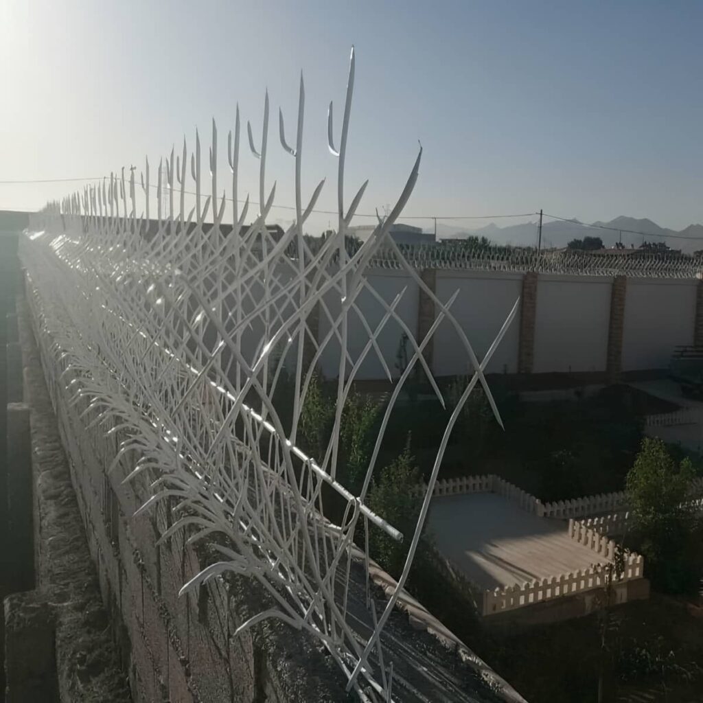 حفاظ شاخ گوزنی خار دار با طراحی شاخه ای متراکم
