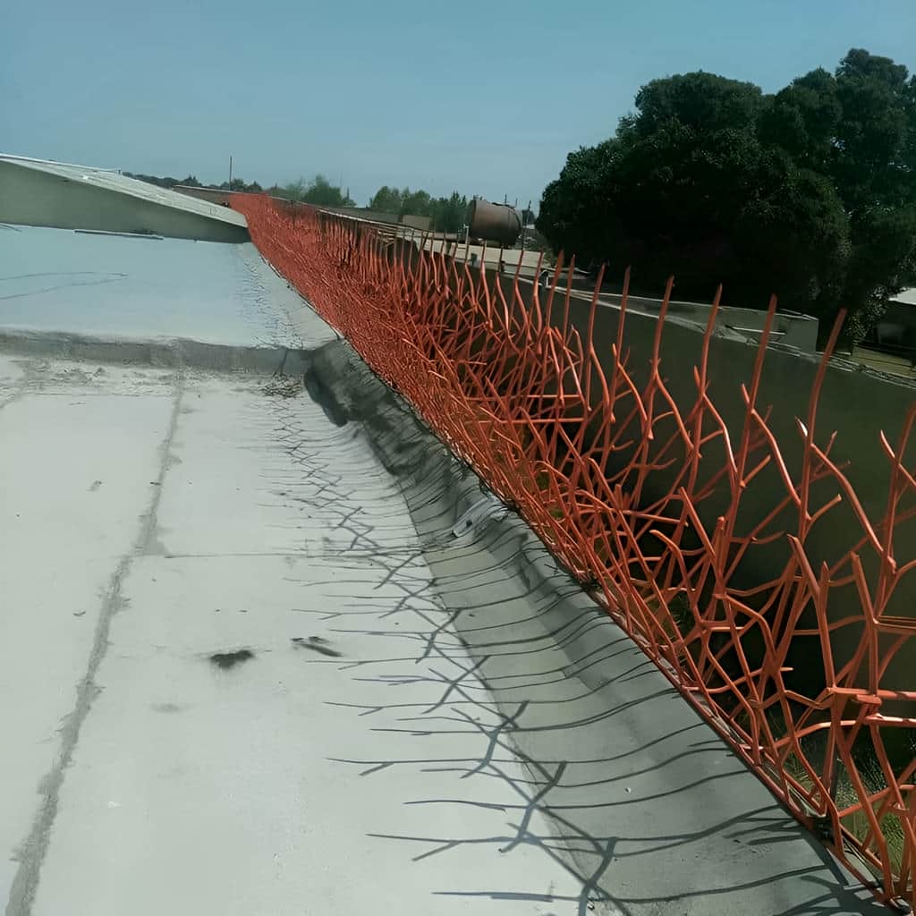 نصب حفاظ بوته ای پرتراکم برای دیوار کوتاه محوطه