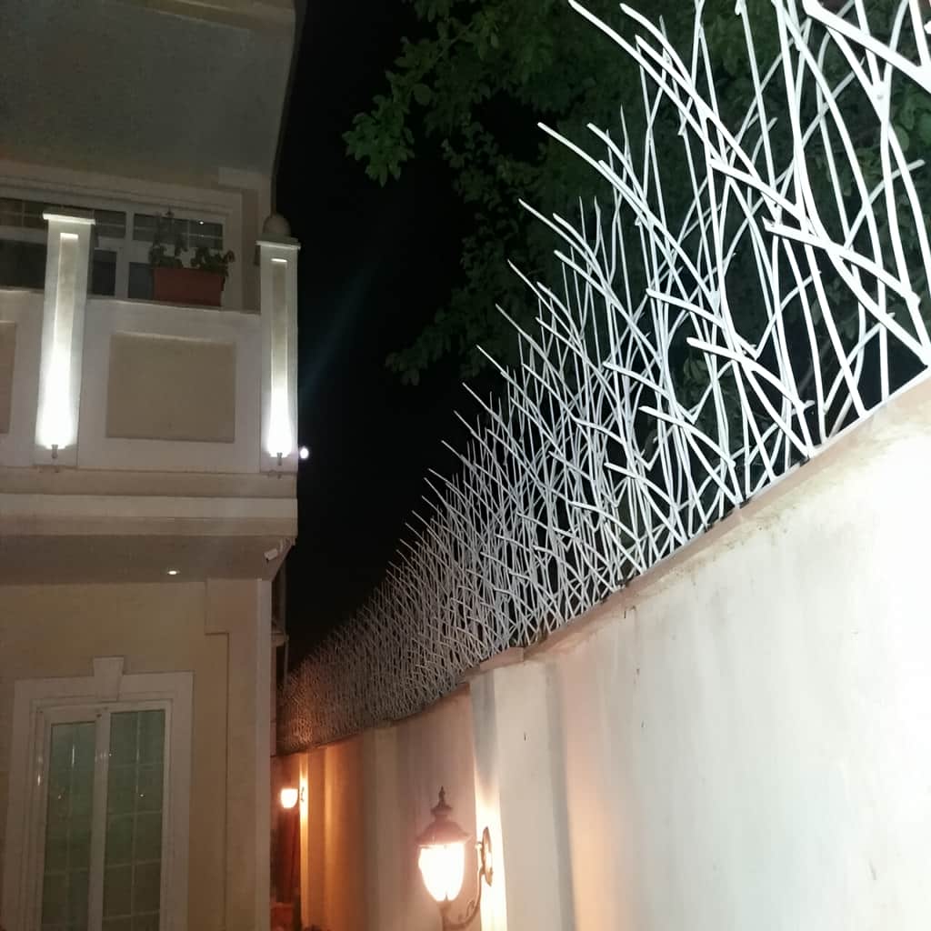 ساخت حفاظ نیزار دیوار باغ برای تاج باریک