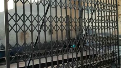 12 مدل حفاظ آکاردئونی دو جداره ورودی