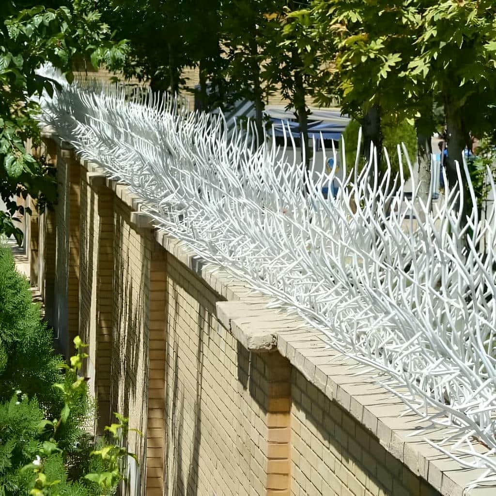 حفاظ شاخ گوزنی روی دیوار باریک حفاظ شاخ گوزنی روی دیوار باریک