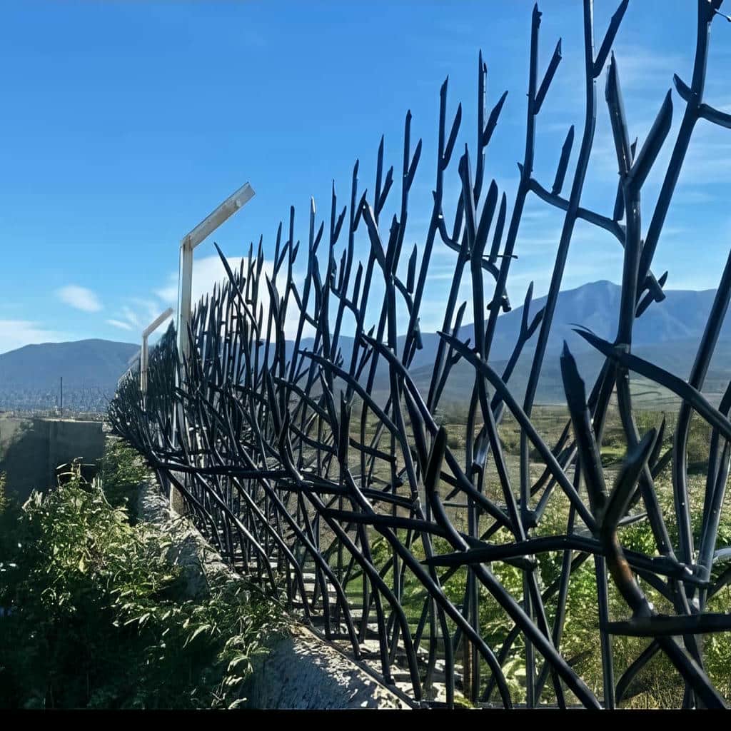 حفاظ شاخ گوزنی فلزی روی دیوار