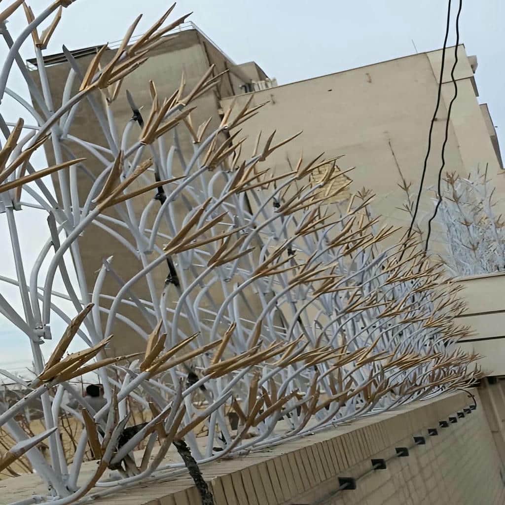 حفاظ لیلیوم فلزی با طرح گل