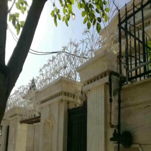 حفاظ نخل مرداب فلزی فضای مرطوب