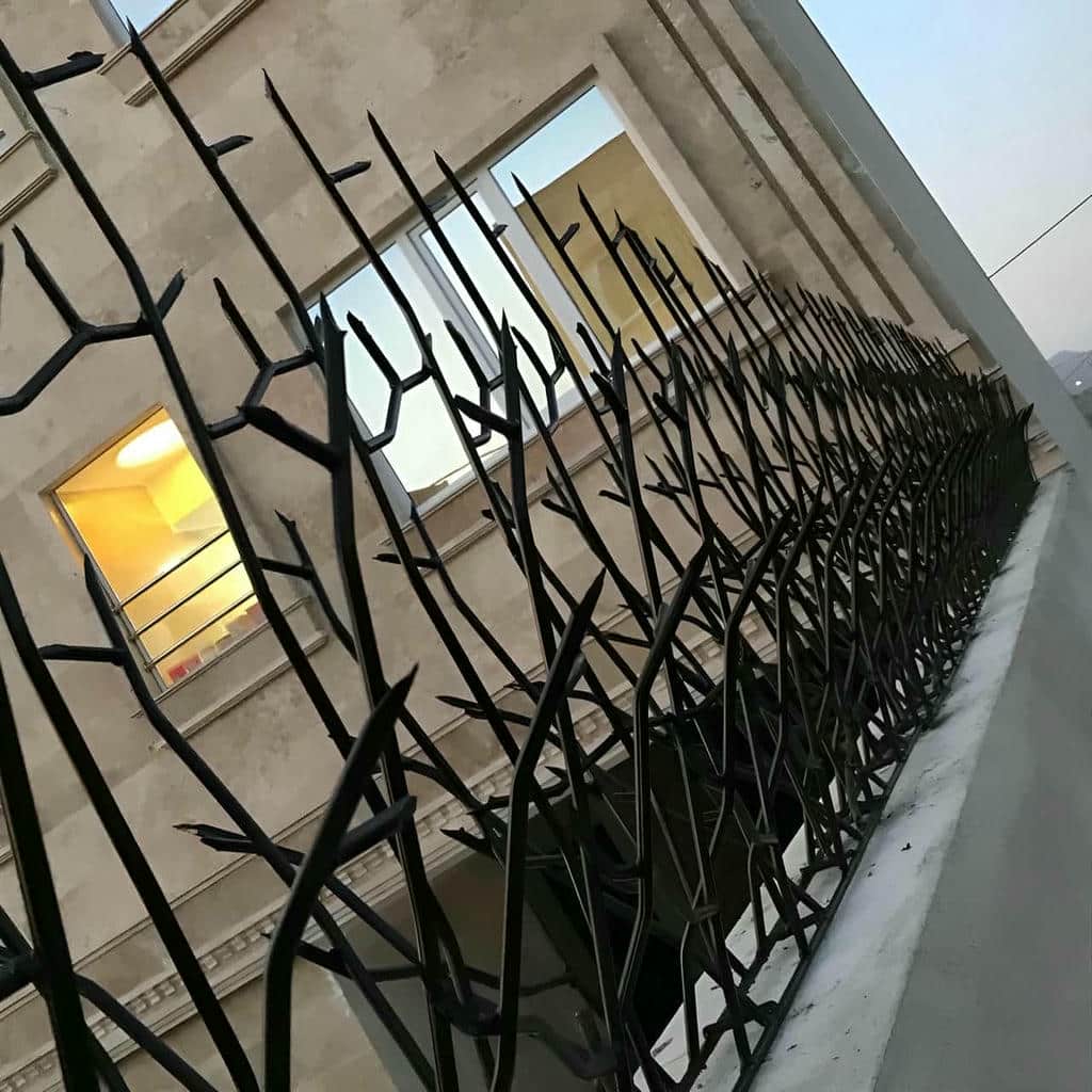 حفاظ دیوار سرنیزه‌ای مشکی محوطه اداری ساری