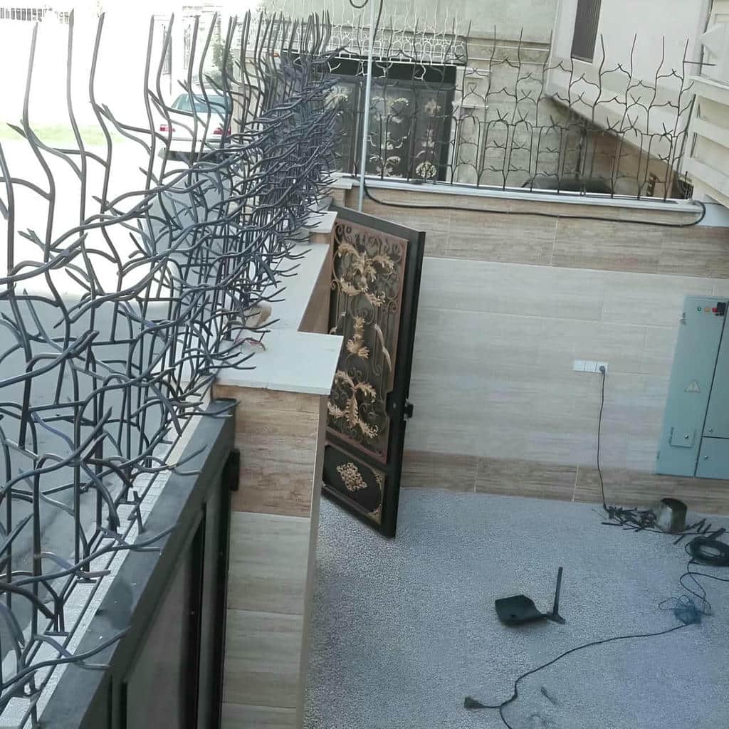 حفاظ دیوار شاخه‌ای روی تاج آجری قدیمی
