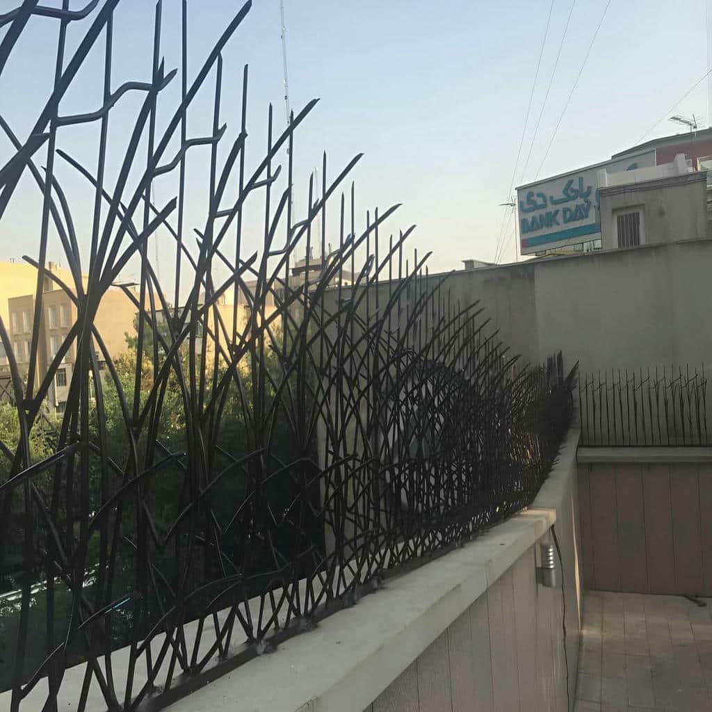 حفاظ دیوار شاخ گوزنی روی تاج بتنی مرطوب