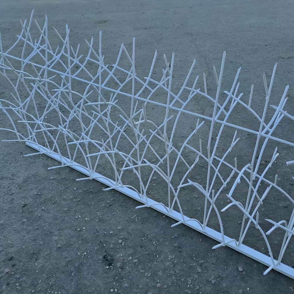 حفاظ دیوار شاخ گوزنی روی ساختمان نوساز استان خراسان رضوی
