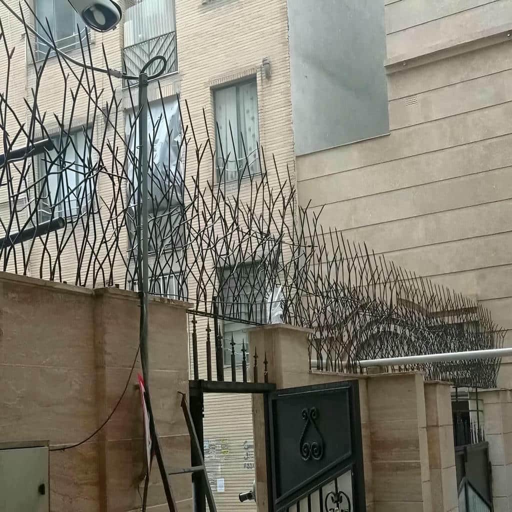 حفاظ دیوار شاخ گوزنی مشکی روی دیوار ویلایی تهران